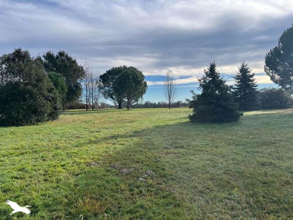 Maison à vendre |  Saint-Sever |  6 pièces | 165 m²