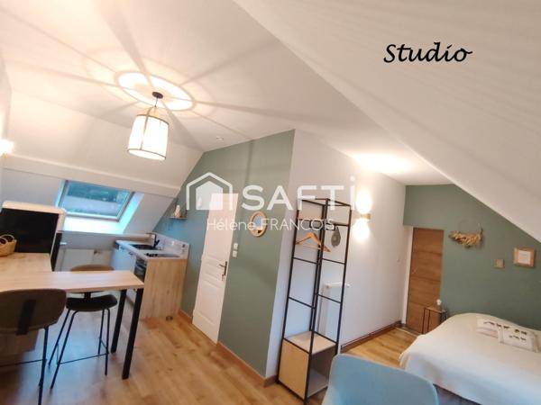 Maison plain pied + trois appartements