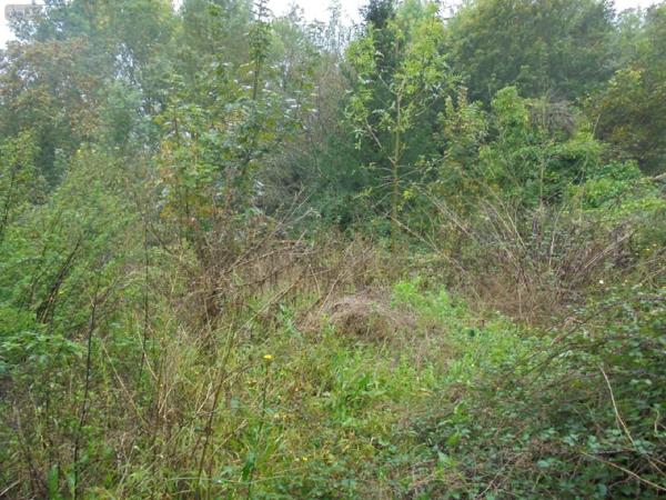 Maison à vendre à Tavers dans le Loiret (45190), ref : 091/1469