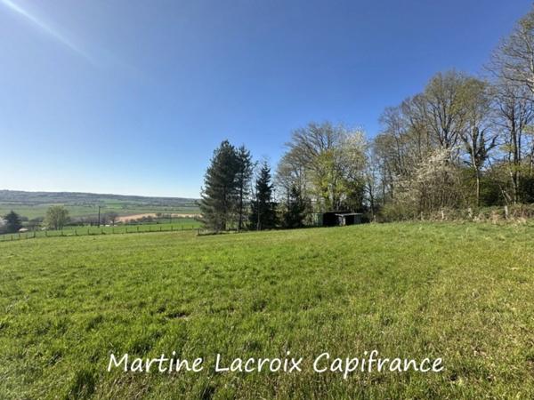 Dpt ORNE (61), à vendre CETON - PROPRIÉTÉ  P7 de 180 m² - Terrain de 2 Hectares