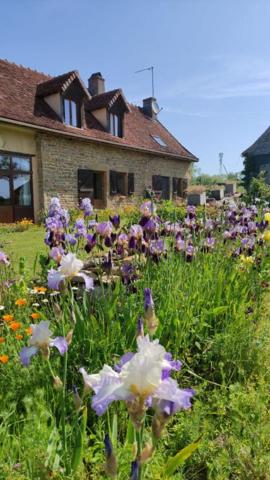 Charmante longère en pierre à vendre à Changy de 200 m2 et ses 2000 Iris