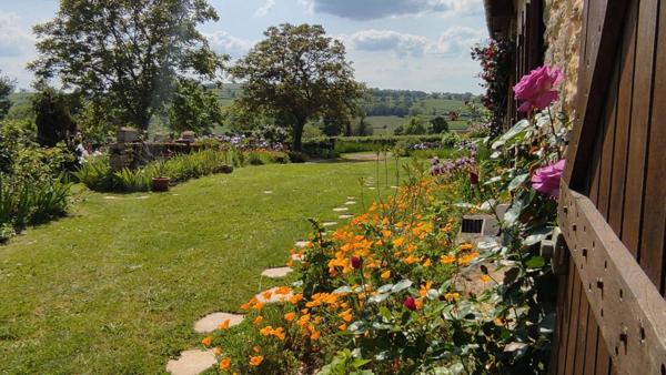 Charmante longère en pierre à vendre à Changy de 200 m2 et ses 2000 Iris