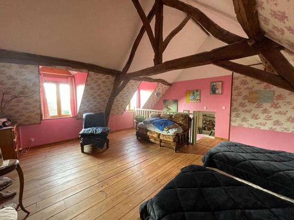 Charmante longère en pierre à vendre à Changy de 200 m2 et ses 2000 Iris