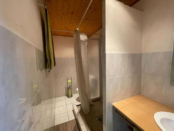 Charmante longère en pierre à vendre à Changy de 200 m2 et ses 2000 Iris