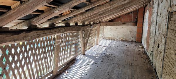 Proche de Lafrançaise, beau village offrant toutes les commodités , à environ 20 km de Montauban, je vous propose cette jolie ferme à rénover. La bâtisse se compose au rez de chaussée d une entrée, d un vaste séjour- cuisine , d une arrière cuisine, de 2 chambres, d un bureau, d une salle d eau et d un WC. A l étage, vous découvrirez 2 grandes chambres et des combes hauts aménageables. La demeure est implantée sur une parcelle de 1 hectare, au calme et sans vis à vis. Possibilité de disposer d hectares supplémentaires. Atout supplémentaire : 2 dépendances pour une surface totale d environ 500 m2. 
Bien rare avec du cachet disposant d un très beau potentiel
A VISITER RAPIDEMENT !
