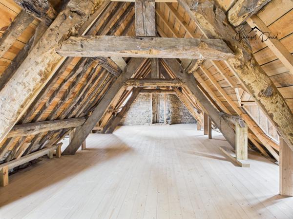 IMMEUBLE DE CARACTÈRE À RÉHABILITER - IDÉAL INVESTISSEURS