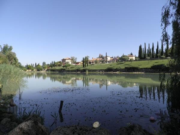 Propriété d'exception dans un environnement calme avec vue !