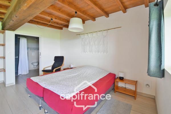 Dpt de SAONE ET LOIRE(71), à vendre MONTPONT EN BRESSE (71470)maison avec gîte et chambres d'hôtes P12 de 470 m² - Terrain de 4 374,00 m²