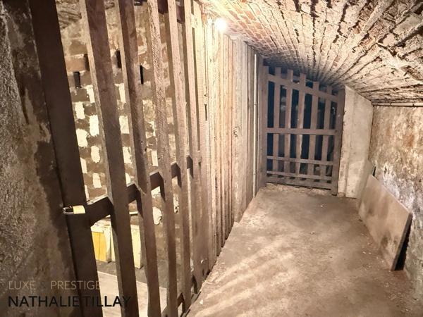 ORLEANS Dunois,  appartement bourgeois T5 a vendre, grand garage, cave, petite copropriéte, cour commune, exclusivité.