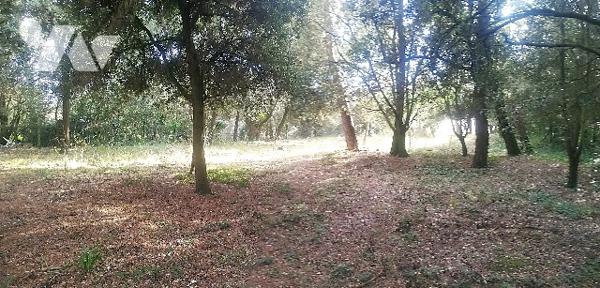 Magnifique terrain à bâtir de 1516 m2 situé à 300 m de l'océan et des plages, hors lotissement.