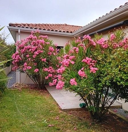 Maison à vendre |  Lavaur |  5 pièces | 135 m²