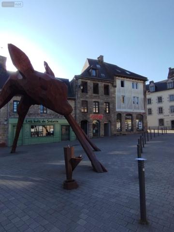 Duplex à vendre à Guingamp dans les Côtes-d'Armor (22200), ref : 00413FR   
centre ville