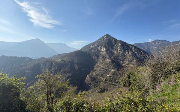 Maison à vendre    3 pièces •  La Tour