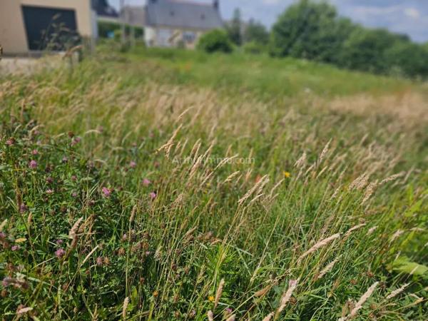 Vente Terrain 538 m2 à Grâces