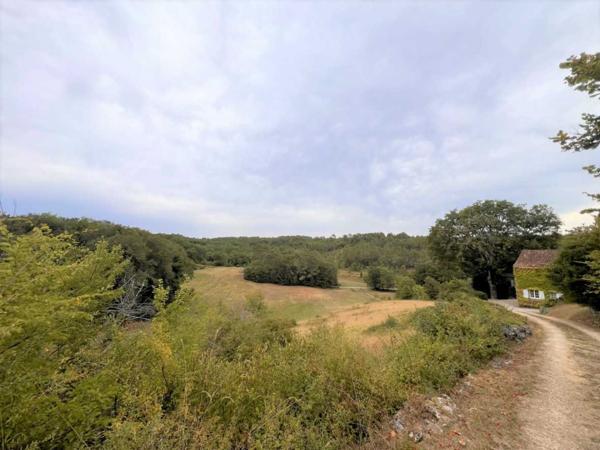 Maison ancienne - Belves RAVISSANTE PROPRIÉTÉ SUR COUR AVEC 2 MAISONS INDÉPENDANTES EN PIERRE (2 LITS ET 1 LIT) SUR 2,4 ACRES, PRÈS DE ST POMPON, DANS UN CADRE SUPERBE ET TRANQUILLE AVEC DE JOLIES VUES. PF90320