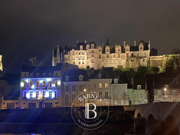 Saint-Aignan, Hôtel particulier 8 Chambres -  475 m² à vendre