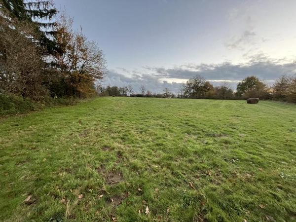 Terrain à vendre |  Nouic |  7985 m²