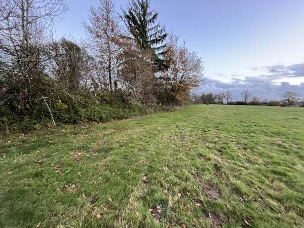 Terrain à vendre |  Nouic |  7985 m²