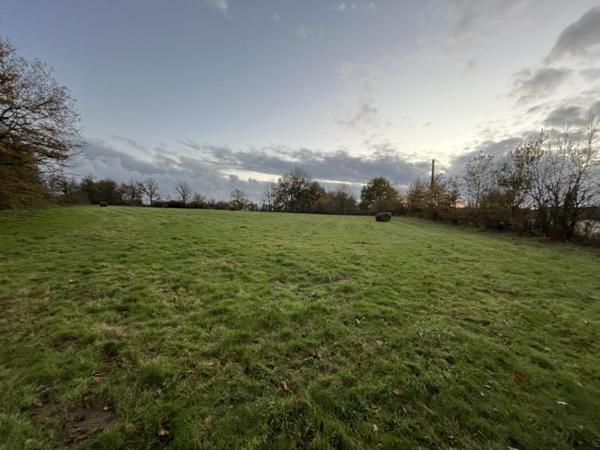 Terrain à vendre |  Nouic |  7985 m²