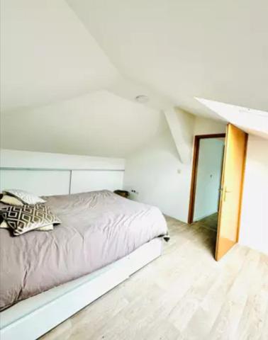 Idéal Frontalier et à saisir spacieux appartement
