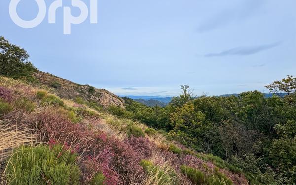 Maison à vendre    4 pièces •  Jaujac