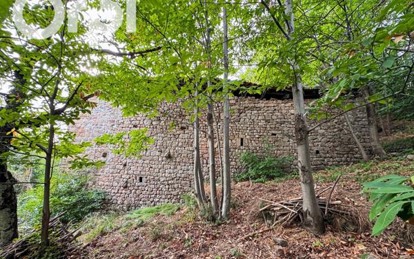 Maison à vendre    4 pièces •  Jaujac