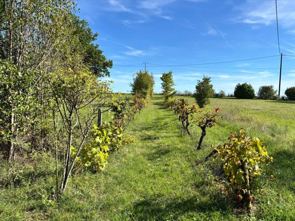Vente maison 142 m² 6 Pièces Montaigu-de-Quercy
