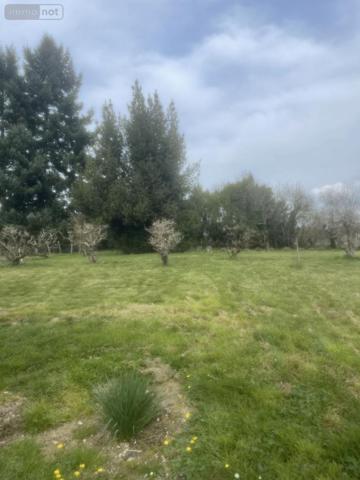 Maison à louer à Reugny dans l'Indre-et-Loire (37380), ref : 37007-L435