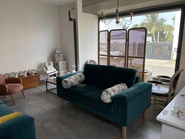 Ensemble Immobilier de 110 m² : Habitation, Usage Pro & Rendement Locatif (Clé en main)
