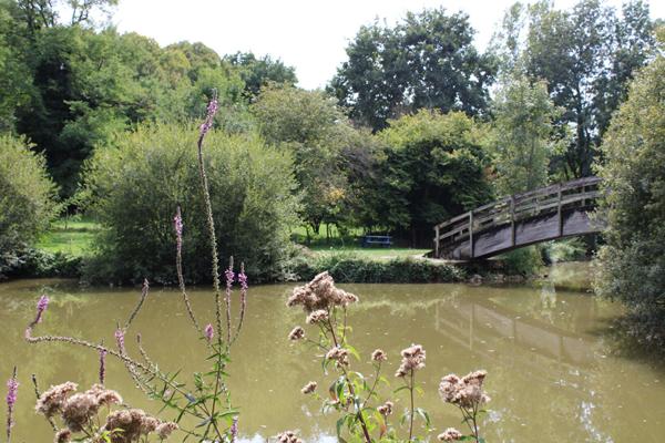 Maison - Gîte 8 chambres