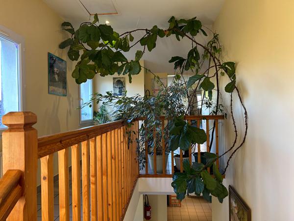 Maison - Gîte 8 chambres