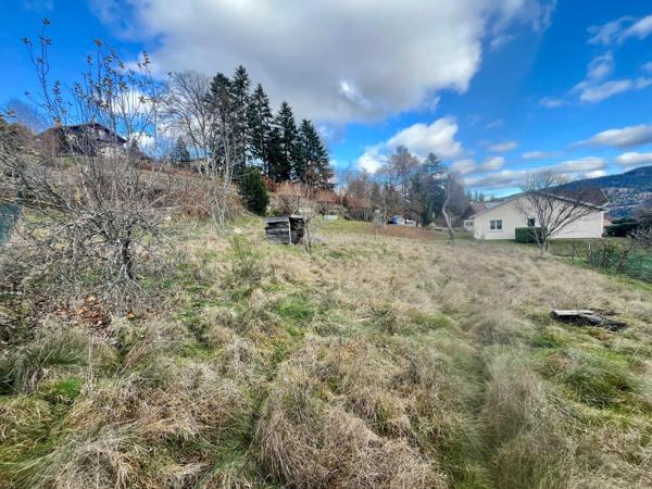 Terrain constructible avec vue panoramique