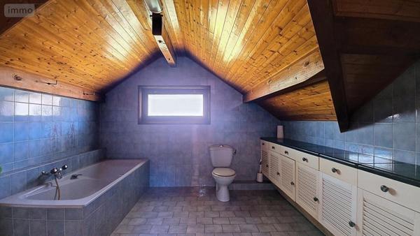 Maison à vendre à Cessy dans l'Ain (01170), ref : 01047-711