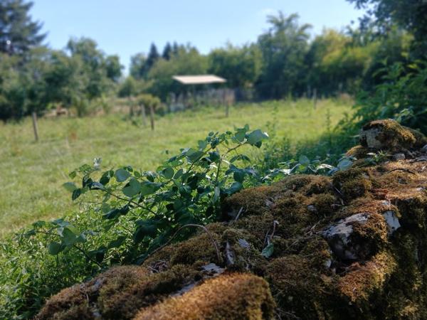 Terrain de loisir au calme