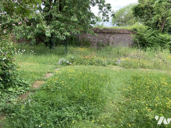 BUCQUOY - MAISON BOURGEOISE avec grange et jardin.