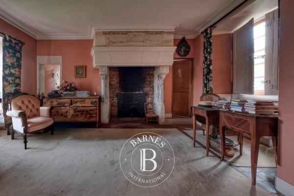 Frazé, Château 22 Chambres -  1 500 m² à vendre
