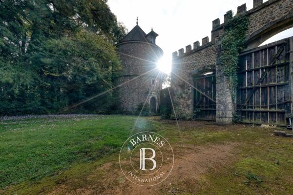 Frazé, Château 22 Chambres -  1 500 m² à vendre