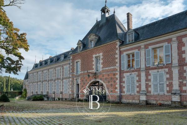 Frazé, Château 22 Chambres -  1 500 m² à vendre
