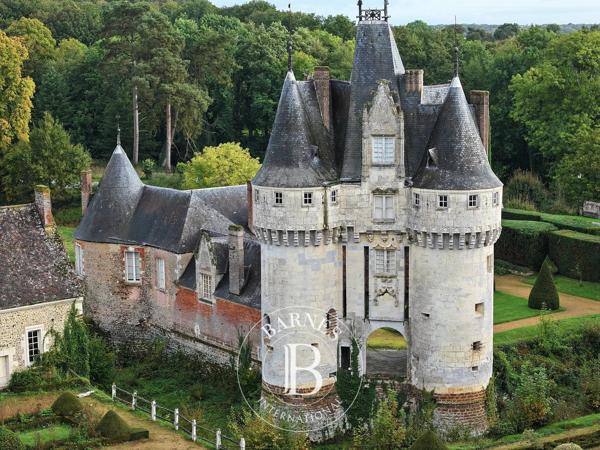 Frazé, Château 22 Chambres -  1 500 m² à vendre