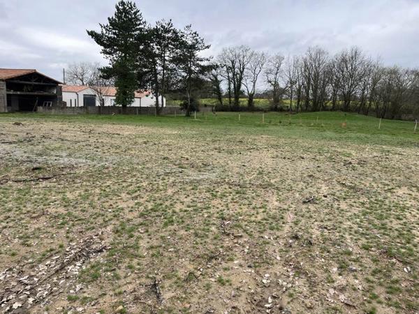 Terrain à vendre |                                       Bellevigny |                                          460 m²