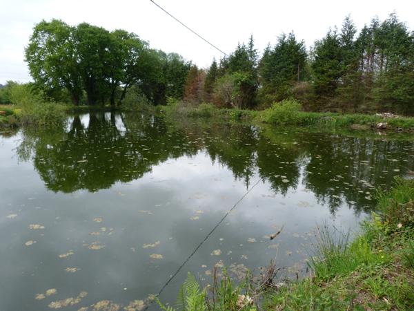 cadre bucolique pour cette Propriete 20e avec dependance en pierre et hangar sur 2 hectares