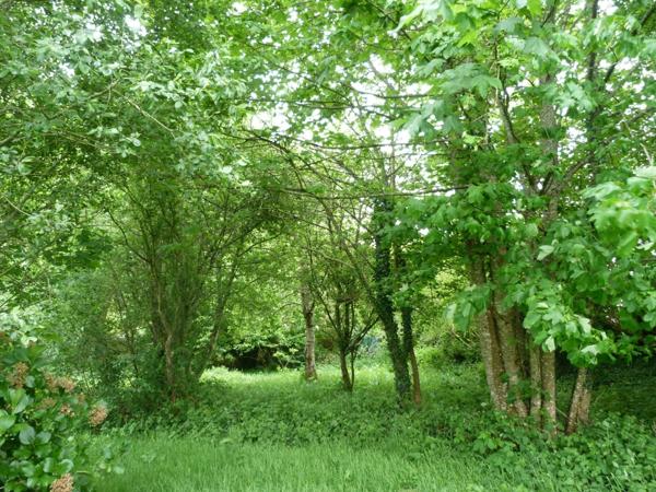 cadre bucolique pour cette Propriete 20e avec dependance en pierre et hangar sur 2 hectares