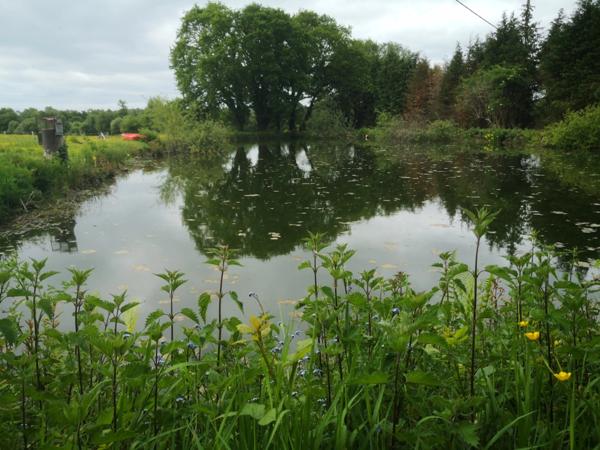 cadre bucolique pour cette Propriete 20e avec dependance en pierre et hangar sur 2 hectares