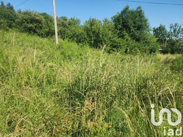 Terrain à vendre 1 200 m² Saint-Pal-de-Mons