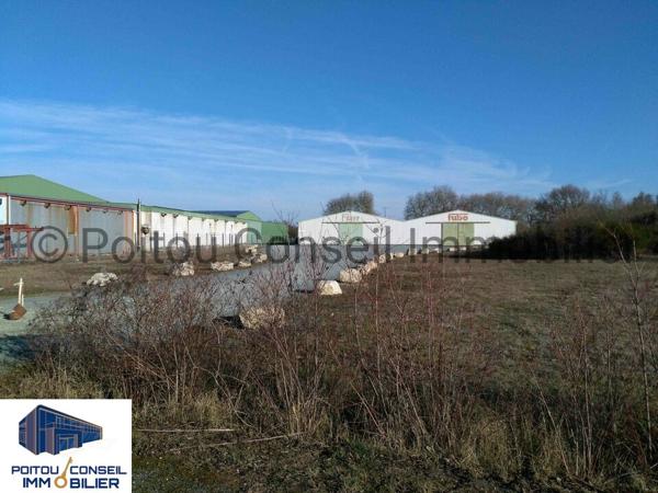 A VENDRE OPPORTUNITE LOCAL D’ACTIVITE ENTRE POITIERS ET NIORT 1500m2