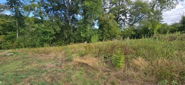 Terrain à vendre de 1 491,00 m² BOISSEUIL (87)