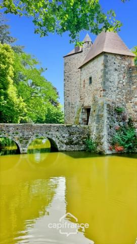 Château à vendre au coeur du bocage bourbonnais sur un parc de 1,5 Ha
