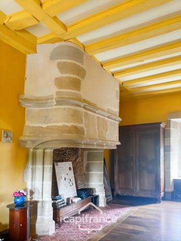 Château à vendre au coeur du bocage bourbonnais sur un parc de 1,5 Ha