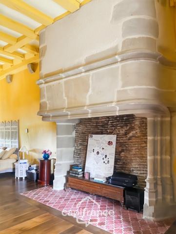 Château à vendre au coeur du bocage bourbonnais sur un parc de 1,5 Ha