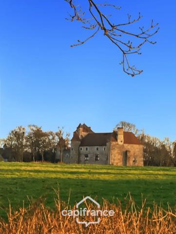 Château à vendre au coeur du bocage bourbonnais sur un parc de 1,5 Ha